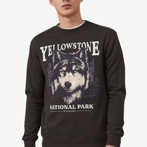 Cotton On Brown Yellowstone Crewneck Sweater